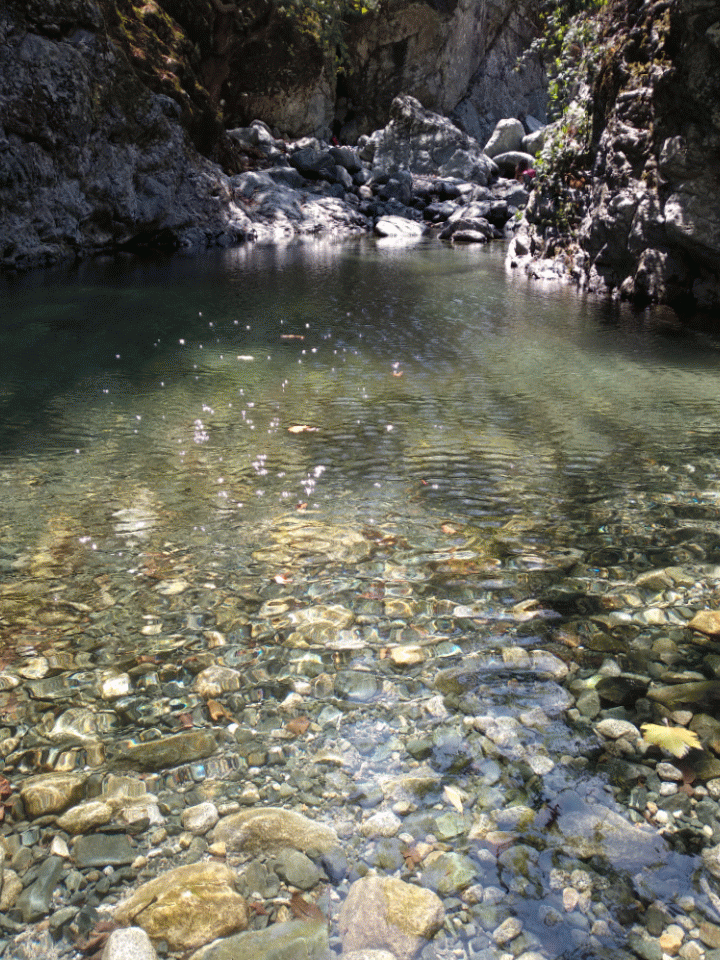 20180803_131256-animation