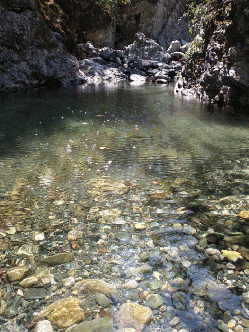 20180803_131256-animation